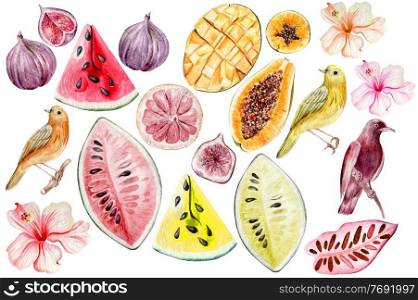 Watercolor set with hibiscus flowers and different fruits, bird. Watermelon, fig, mango, papaya fruits. Illustration. Watercolor set with hibiscus flowers and different fruits, bird. Watermelon, fig, mango, papaya fruits. 