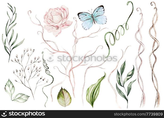 Watercolor set with peony flower, branches, leaves and butterfly. Illustration. Watercolor set with peony flower, branches, leaves and butterfly.
