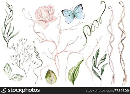 Watercolor set with peony flower, branches, leaves and butterfly. Illustration. Watercolor set with peony flower, branches, leaves and butterfly.