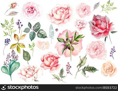 Watercolor set with roses, buds, leaves and berry. Illustration. Watercolor set with roses, buds, leaves and berry.
