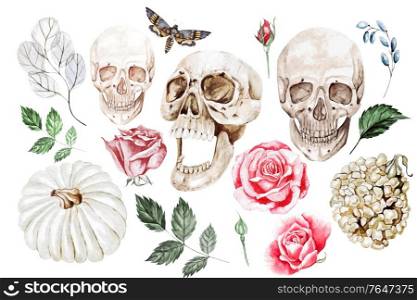 Watercolor set with skulls, roses, pumpkins,leaves. Illustration. Watercolor set with skulls, roses, pumpkins,leaves.