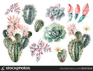 Watercolor set with succulents and cacti . Realistic illustration