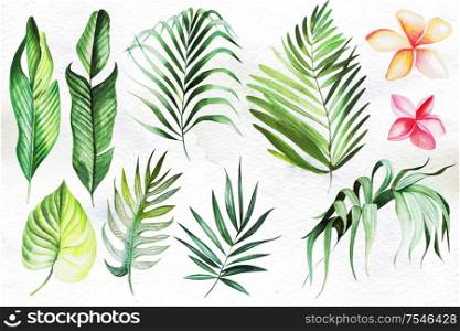 Watercolor set with tropical leaves, flowers. Illustration. Watercolor set with tropical leaves, flowers.