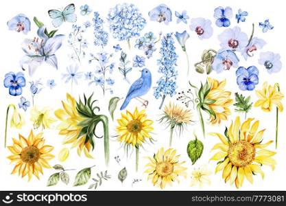 Watercolor set with yellow and blue flowers. Illustration. Watercolor set with yellow and blue flowers.