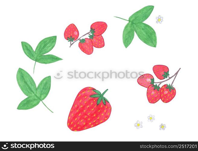 Watercolor strawberry set isolated on white background. Watercolor set of hand painted strawberries and green leaves.