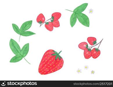Watercolor strawberry set isolated on white background. Watercolor set of hand painted strawberries and green leaves.