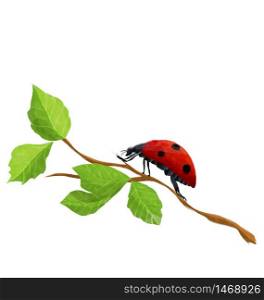 Watercolor style drawing of a ladybug isolated on white background