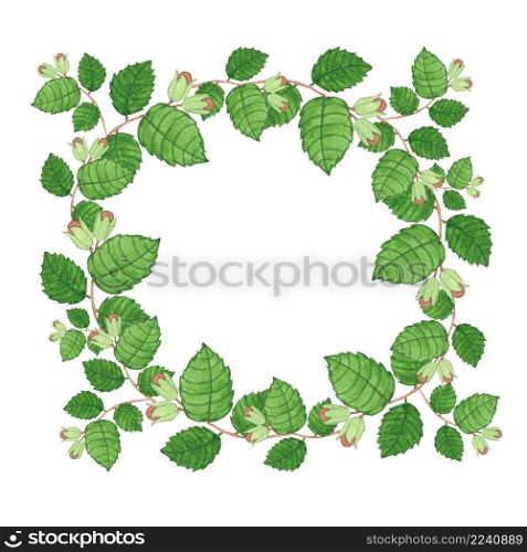 Watercolor summer wreath with forest nuts on white. Watercolor illustration isolated on white background. Nature and organic concept with copy space.