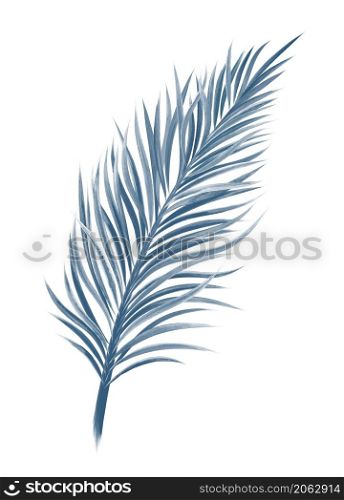 Watercolor tropical leaf on white background vector illustration