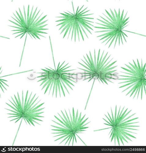 Watercolor tropical palm leaves seamless pattern isolated on white.