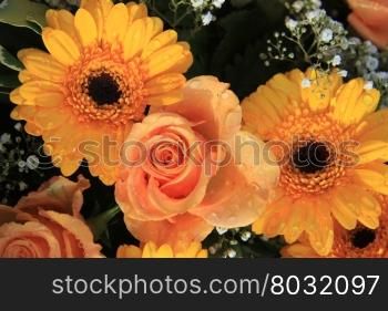 Waterdrops after a rainshower on yellow gerberas and orange roses