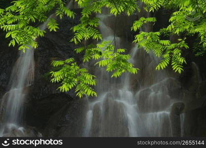 Waterfall