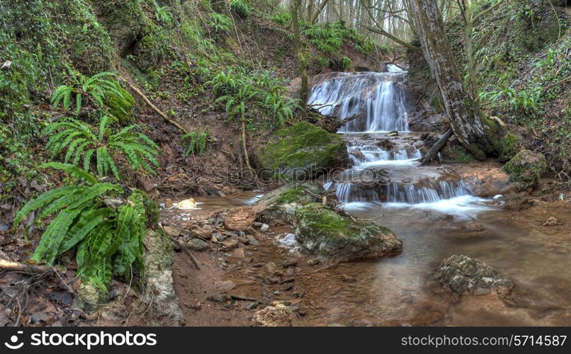 Waterfall and ferns at Death&rsquo;s Dingle, Eastham, Worcestershire, England.