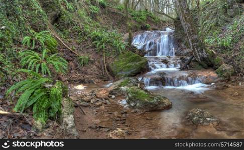 Waterfall and ferns at Death&rsquo;s Dingle, Eastham, Worcestershire, England.