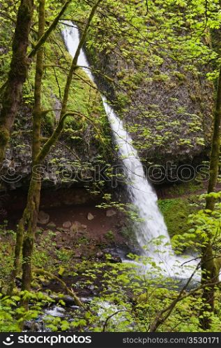 Waterfall and lush greenery near Troutdale, Oregon