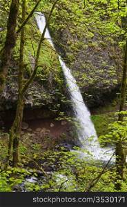 Waterfall and lush greenery near Troutdale, Oregon