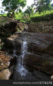 Waterfall and tea plantation near Nuwara Eliya, Sri Lanka