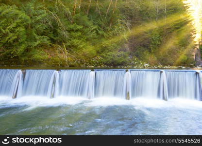 Waterfall cascade streaming down in the green sunny forest