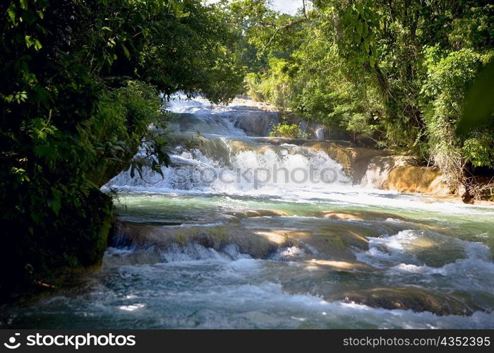 Waterfall in a forest, Agua Azul Waterfalls, Chiapas, Mexico