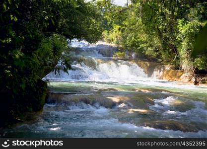 Waterfall in a forest, Agua Azul Waterfalls, Chiapas, Mexico