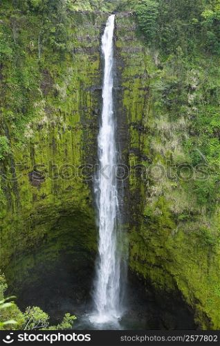 Waterfall in a forest, Akaka Falls, Akaka Falls State Park, Hilo, Big Island, Hawaii Islands, USA