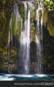 Waterfall in a forest, Puente De Dios, San Luis Potosi, Mexico