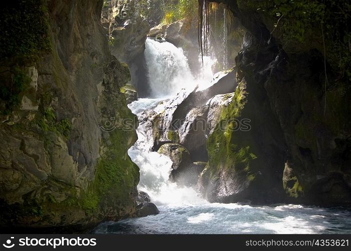 Waterfall in a forest, Puente De Dios, San Luis Potosi, Mexico