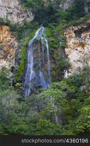 Waterfall in a forest, Sumidero Canyon, Chiapas, Mexico
