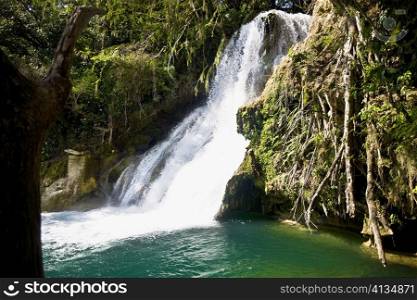 Waterfall in a forest, Tamasopo Waterfalls, Tamasopo, San luis Potosi, Mexico