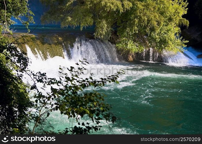Waterfall in a forest, Waterfalls of the Monkeys, City Valleys, San Luis Potosi, Mexico
