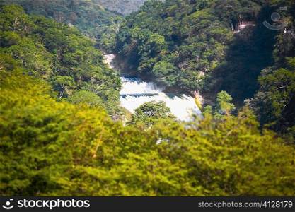 Waterfall in a forest, Waterfalls of the Monkeys, City Valleys, San Luis Potosi, Mexico
