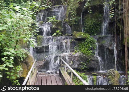 waterfall in burgers Zoo in Holland