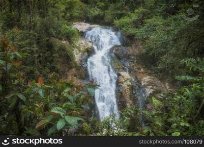 waterfall in cameroun highlands jungle in malaysia