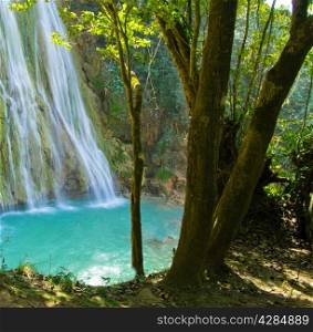 waterfall in deep green forest