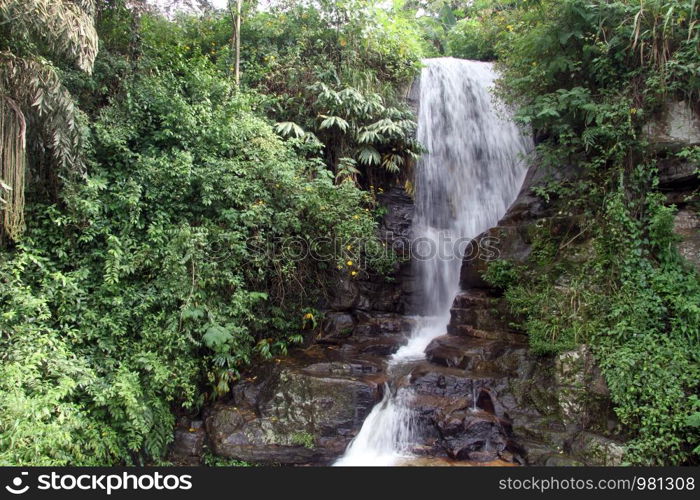 Waterfall in evergreen forest in Sri Lanka