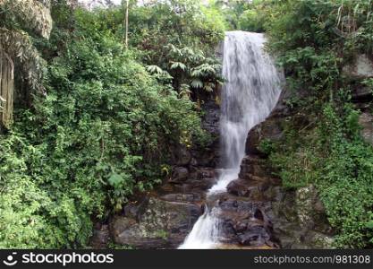 Waterfall in evergreen forest in Sri Lanka