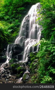 Waterfall in forest