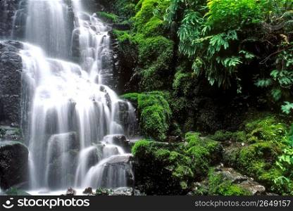 Waterfall in forest