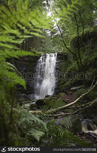 Waterfall in forest