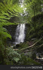 Waterfall in forest