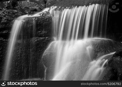 Waterfall in forest landscape long exposure flowing through trees and over rocks in black and white