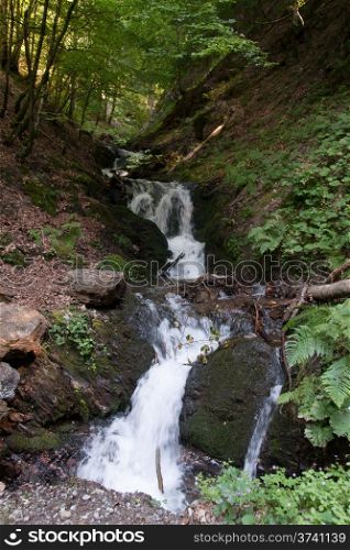 Waterfall in French alps hiking attraction in a forest