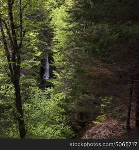 Waterfall in Fundy National Park, New Brunswick, Canada