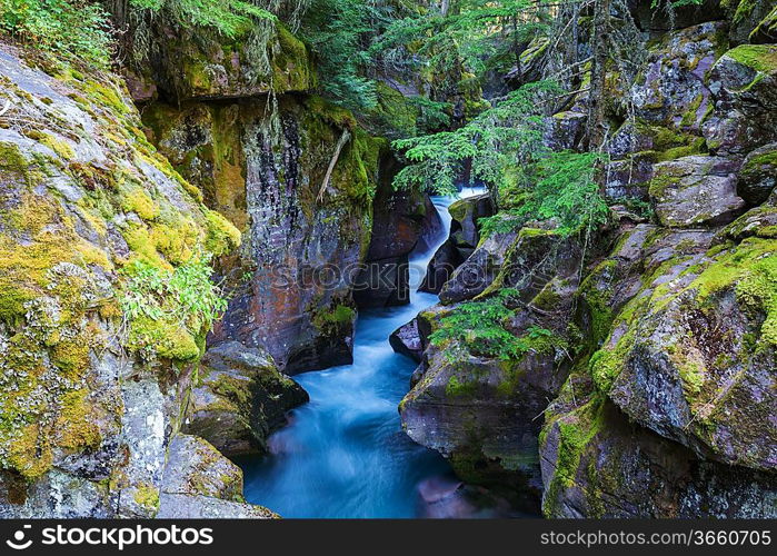 Waterfall in green forest