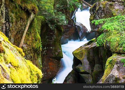 Waterfall in green forest