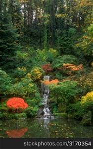 Waterfall in Japanese Garden