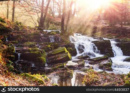waterfall in misty autumn forest at sunset, Harz National Park, Germany