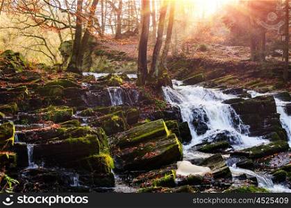 waterfall in misty autumn forest at sunset, Harz National Park, Germany