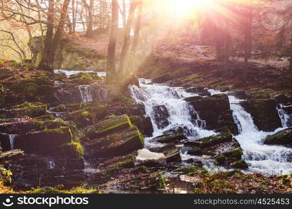 waterfall in misty autumn forest at sunset, Harz National Park, Germany