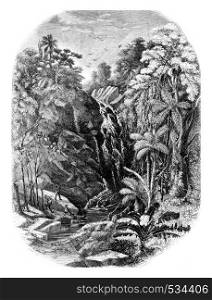 Waterfall in Moheli, vintage engraved illustration. Magasin Pittoresque 1855.